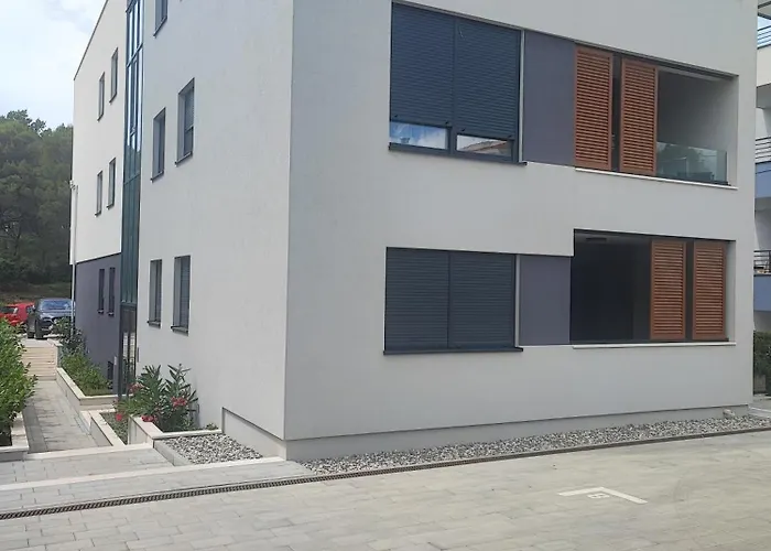 Lavanda * زادار